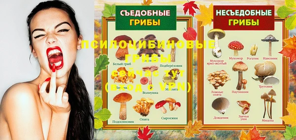 винт Володарск