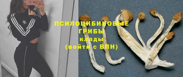 гашик Волоколамск