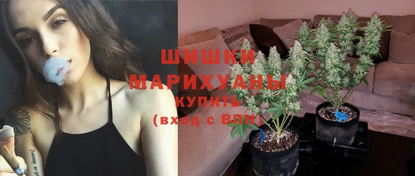шишки Рославль
