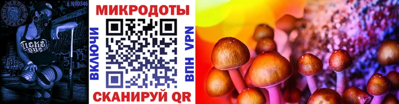 Галлюциногенные грибы мицелий  Петровск 